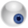 Download Yawcam