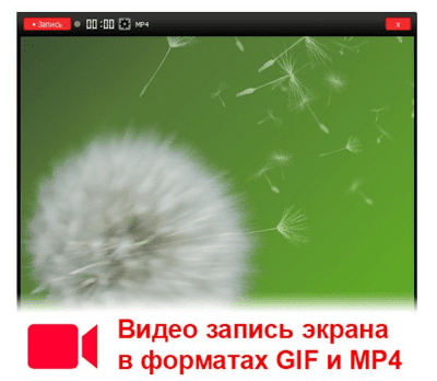 Screenshot of the application Shotnes - #2