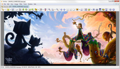 Screenshot of the application XnView - #3