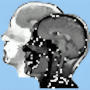 Download DICOM Viewer