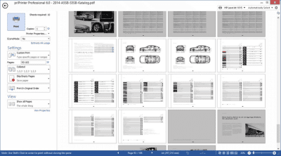 Screenshot of the application priPrinter Professional - #2