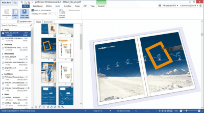 Screenshot of the application priPrinter Professional - #3