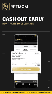 Screenshot of the application BetMGM - #5
