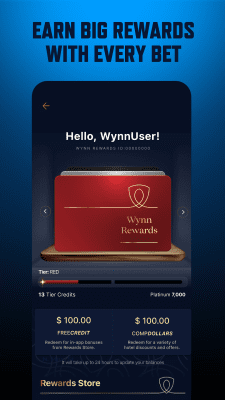 Screenshot of the application WynnBET - #5