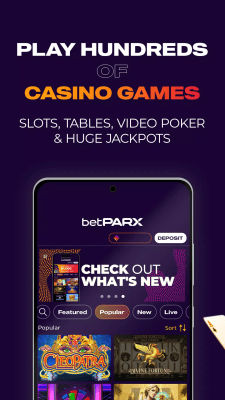 Screenshot of the application betPARX - #2