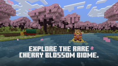 Screenshot of the application Minecraft 1.20 - #5