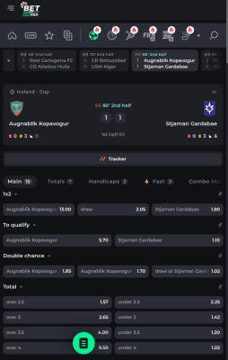 Screenshot of the application BetOnRed - #5
