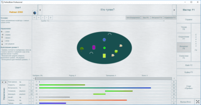 Screenshot of the application PerfectBrain - #3