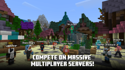 Screenshot of the application Minecraft 1.19 - #6