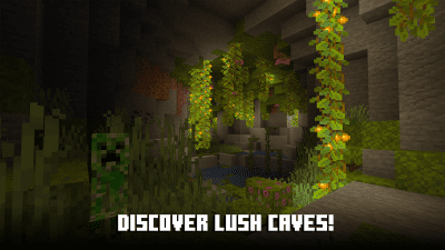 Screenshot of the application Minecraft 1.19 - #7