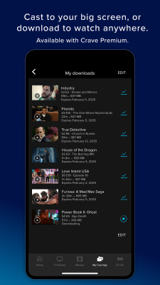 Screenshot of the application Crave - #6