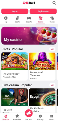 Screenshot of the application DBbet - #3