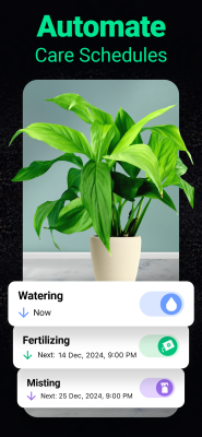 Screenshot of the application Plantum - #3