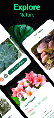 Screenshot of the application Plantum - #4