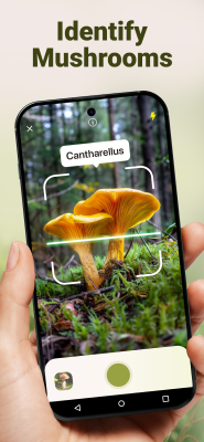Screenshot of the application Mushroom ID - #1