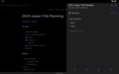 Screenshot of the application Obsidian - #12