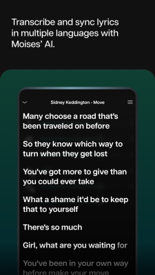 Screenshot of the application Moises - #7