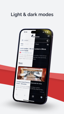 Screenshot of the application Swisscows Private Search - #4