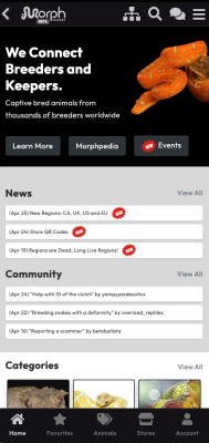 Screenshot of the application MorphMarket - #1