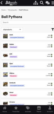 Screenshot of the application MorphMarket - #2