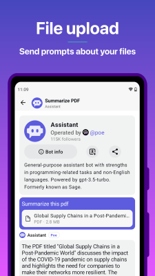 Screenshot of the application Poe - #6