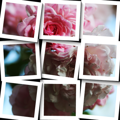 Screenshot of the application Mosaic Art Lab - #2