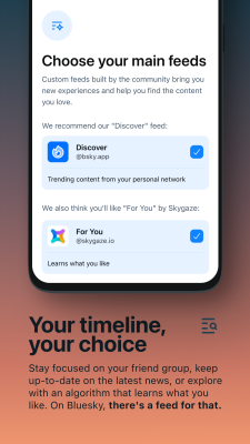 Screenshot of the application Bluesky - #3