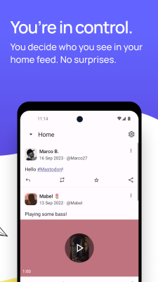 Screenshot of the application Mastodon - #2