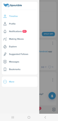 Screenshot of the application Spoutible - #2