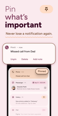 Screenshot of the application Pinnit - #1