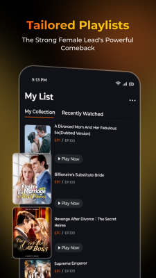 Screenshot of the application ShortMax - #5