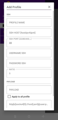 Screenshot of the application SSH Custom - #3
