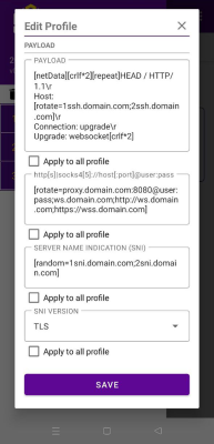 Screenshot of the application SSH Custom - #5