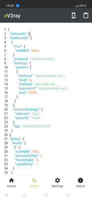 Screenshot of the application e-V2ray - #2