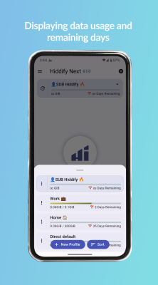Screenshot of the application Hiddify - #5