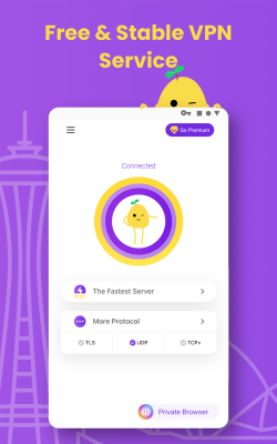 Screenshot of the application PotatoVPN - #1