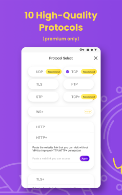 Screenshot of the application PotatoVPN - #2