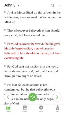 Screenshot of the application King James Bible - Verse+Audio - #1