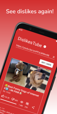 Screenshot of the application Dislikes Tube - #1