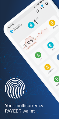 Screenshot of the application Payeer - #1