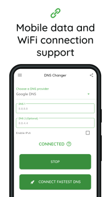 Screenshot of the application DNS Changer - #2