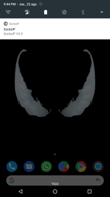 Screenshot of the application SocksIP Tunnel - #2