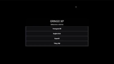 Screenshot of the application Gringo XP - #2
