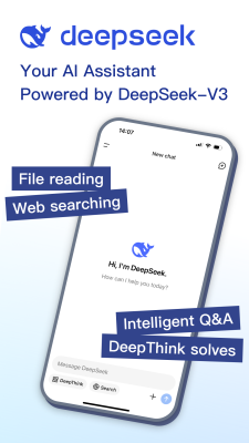 Screenshot of the application DeepSeek - #1