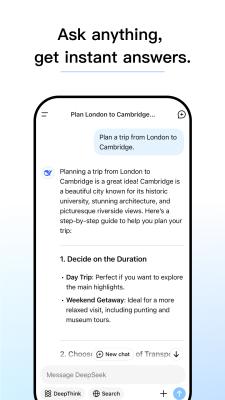 Screenshot of the application DeepSeek - #2