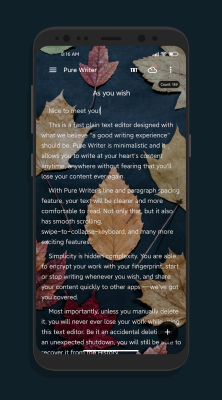 Screenshot of the application Pure Writer - #2
