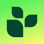 Download Lifesum: meal planner and simple recipes