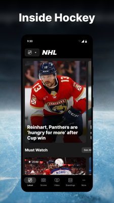 Screenshot of the application NHL - #1