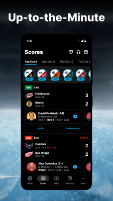 Screenshot of the application NHL - #2
