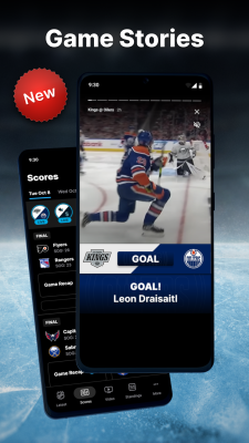 Screenshot of the application NHL - #3